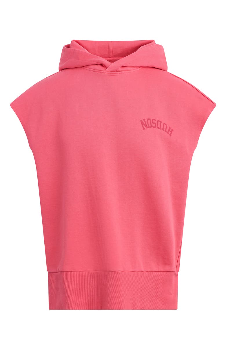 Hudson Jeans Viper Cutoff Hoodie, Alternate, color, 