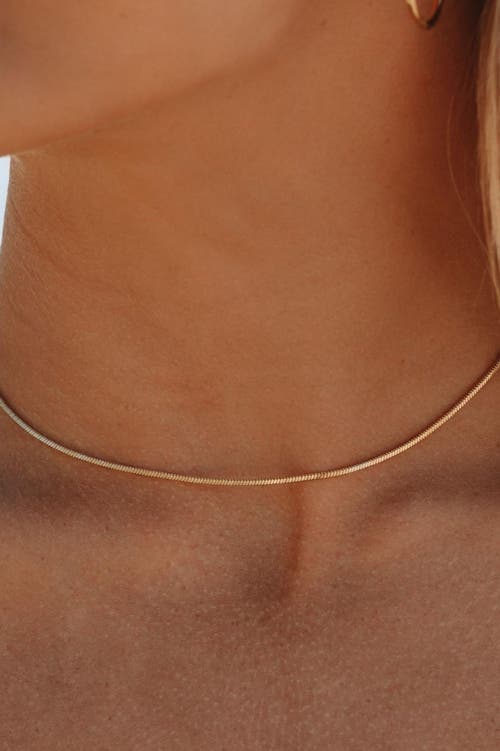 Atolea Fine Choker In Gold