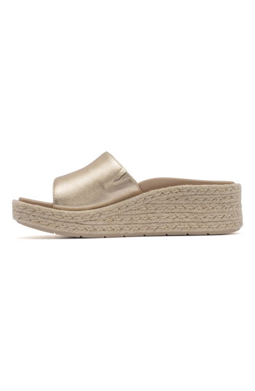 Abeo Solstice Slide In Light Gold - Metatarsal