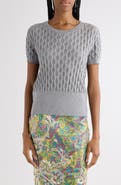 Dries Van Noten Target Short Sleeve Merino Wool Sweater