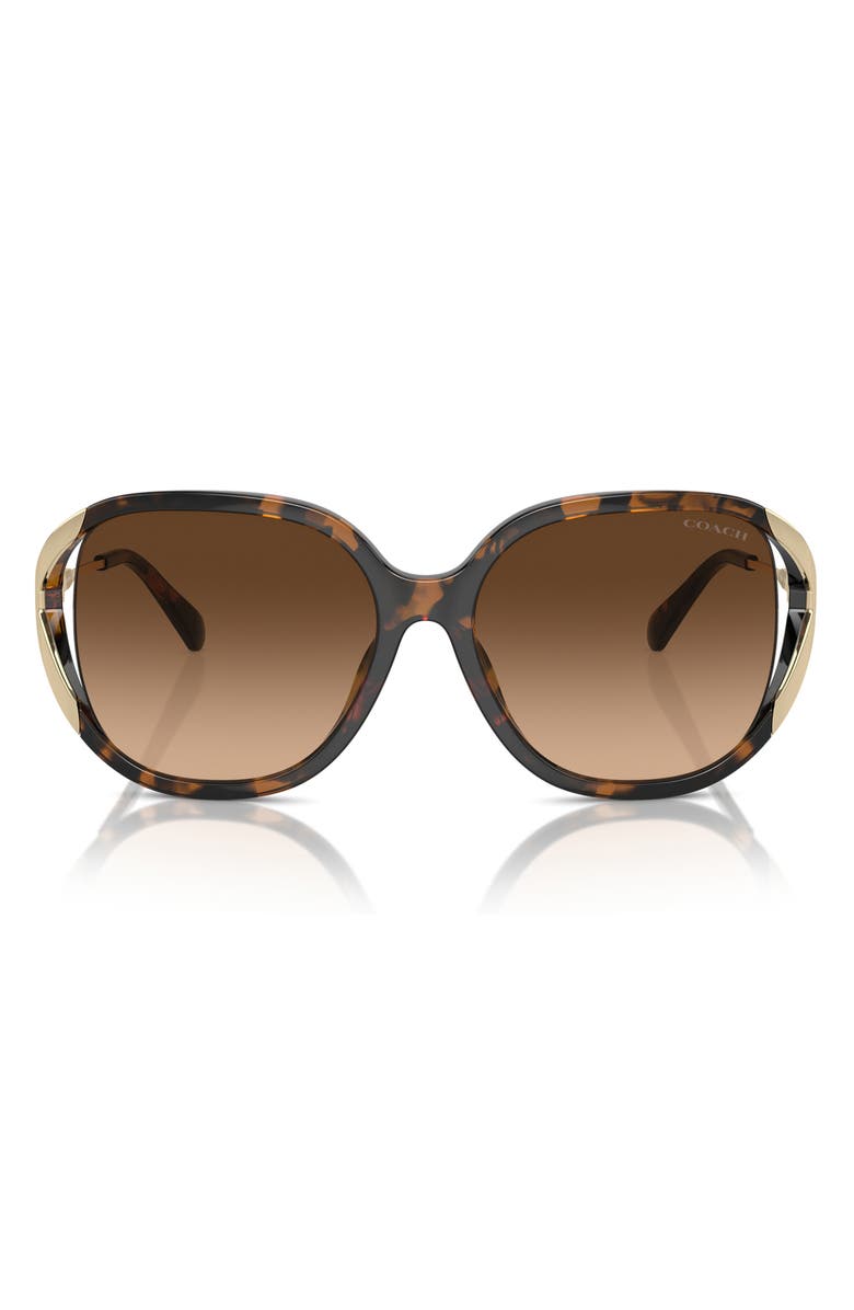 COACH 56mm Gradient Square Sunglasses, Alternate, color, Dark Tortoise