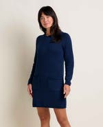 Toad & Co Alpineglo Sweater Dress