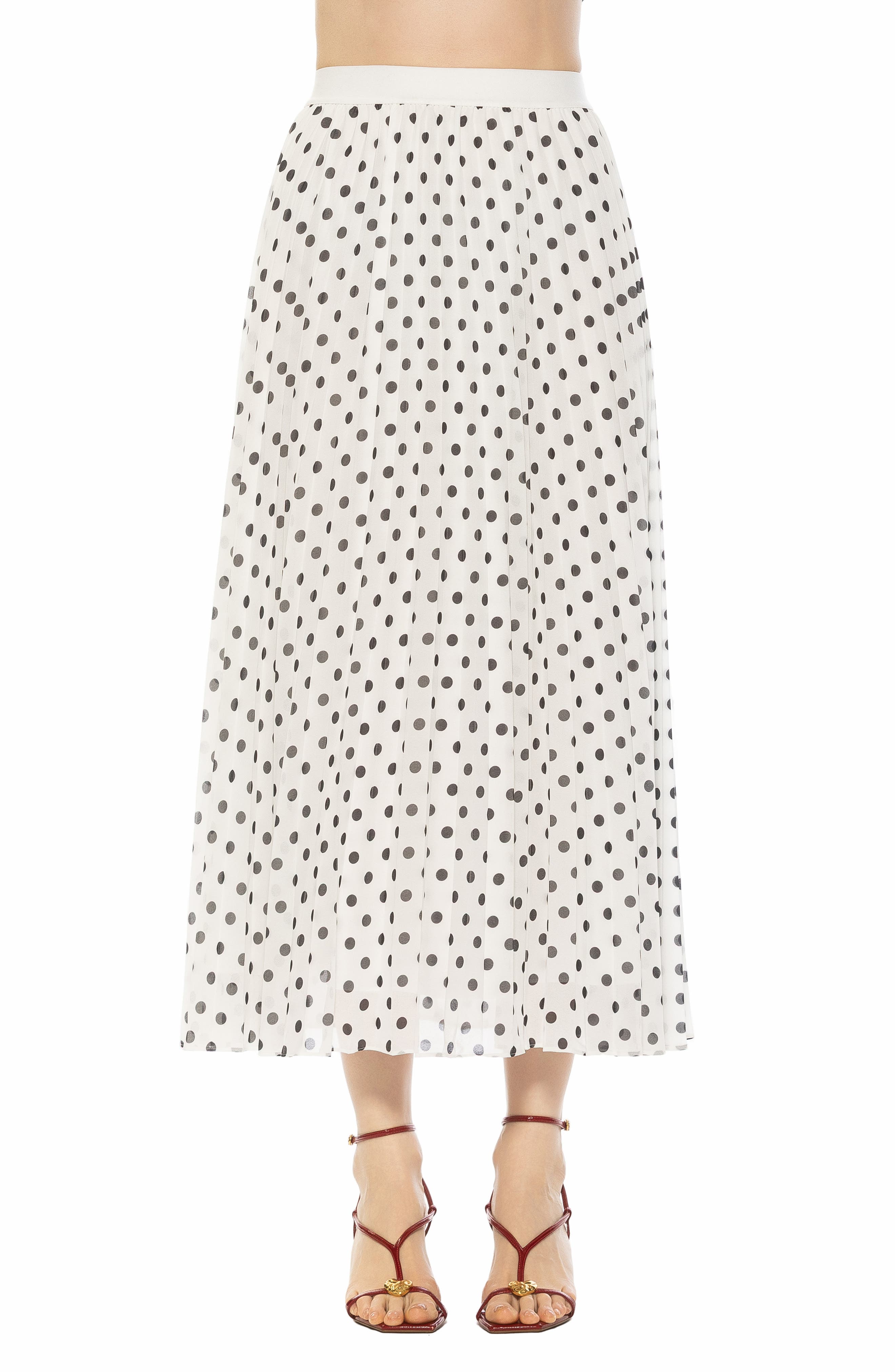 IVORY POLKA