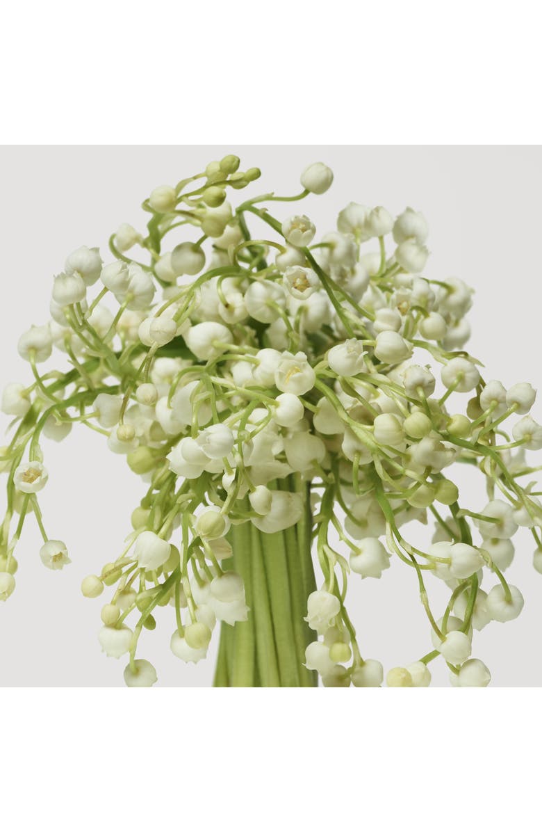 Donna Karan New York Cashmere Mist Eau de Parfum Gift Set $198 Value, Alternate, color,