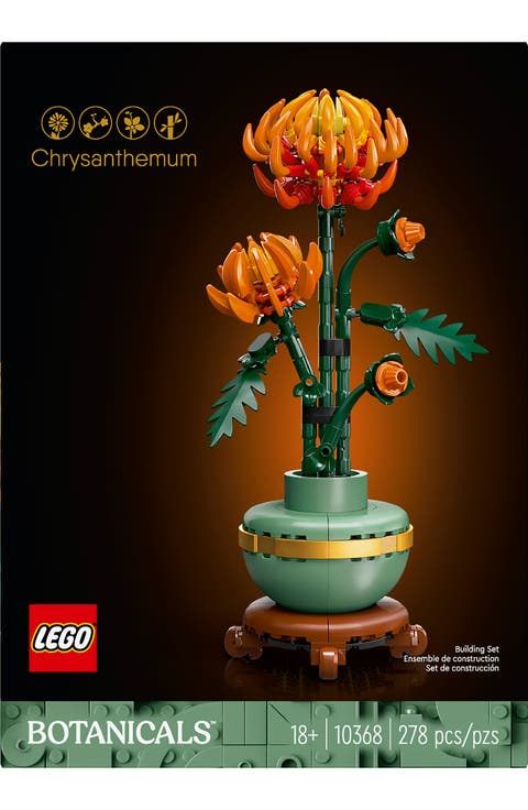 18+ Botanicals™ Chrysanthemum -10368
