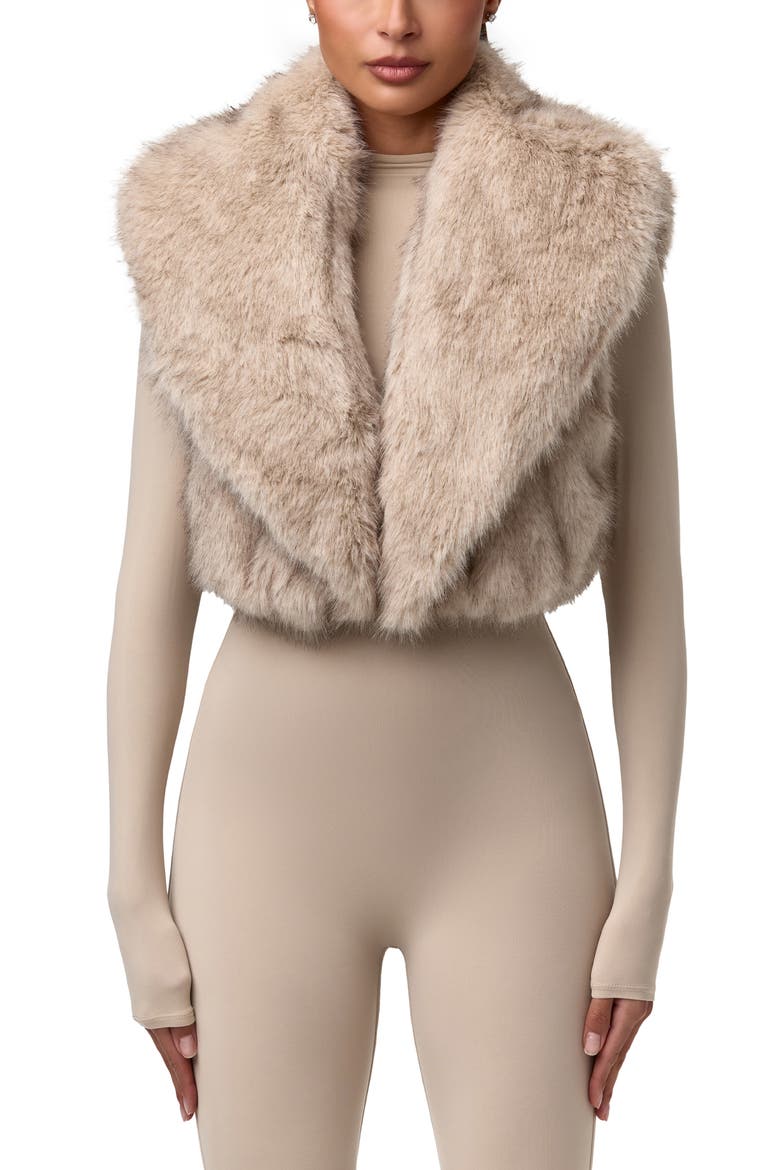 Faux Fur Plush Vest, Main, color, TAUPE