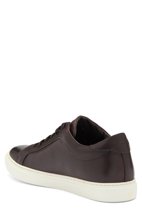 To Boot New York Mesa Low Top Sneaker In Brown