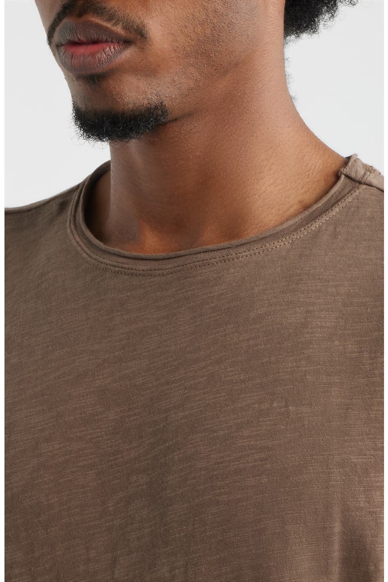Core Slub T-Shirt, Alternate, color, VINTAGE BROWN