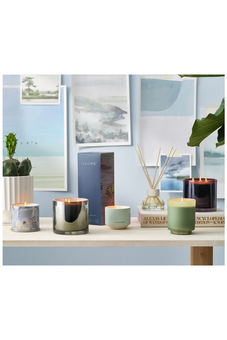 Terra Tabac Paloma Petal Statement Glass Candle, Alternate, color, HINOKI SAGE