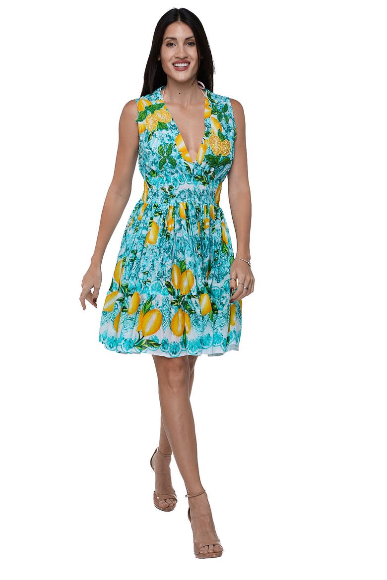 Positano Sleeveless Lemon Minidress, Alternate, color, BLUE/ GREEN