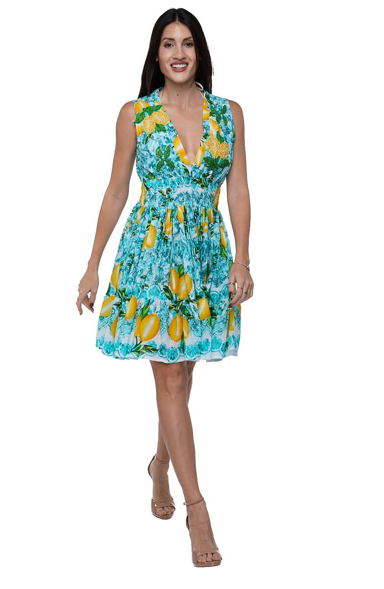 RANEES Positano Sleeveless Lemon Minidress, Alternate, color, Blue/ Green
