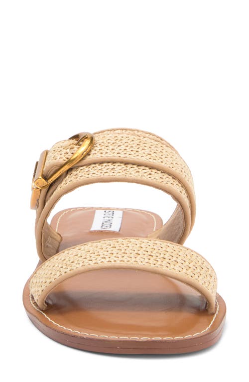 Steve Madden Sivan Slide Sandal