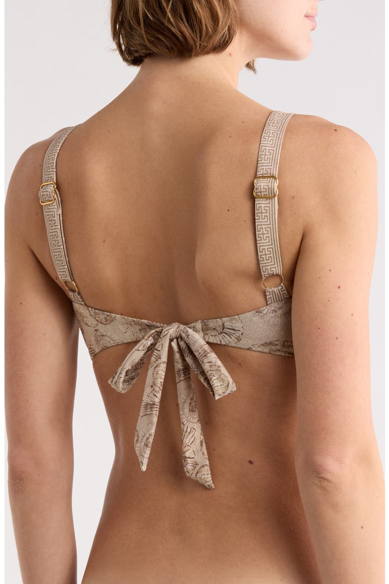 Shell Print Bikini Top, Alternate, color, SAFARI