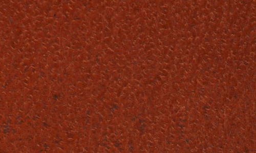 Treasure & Bond Calista Leather Belt In Brown