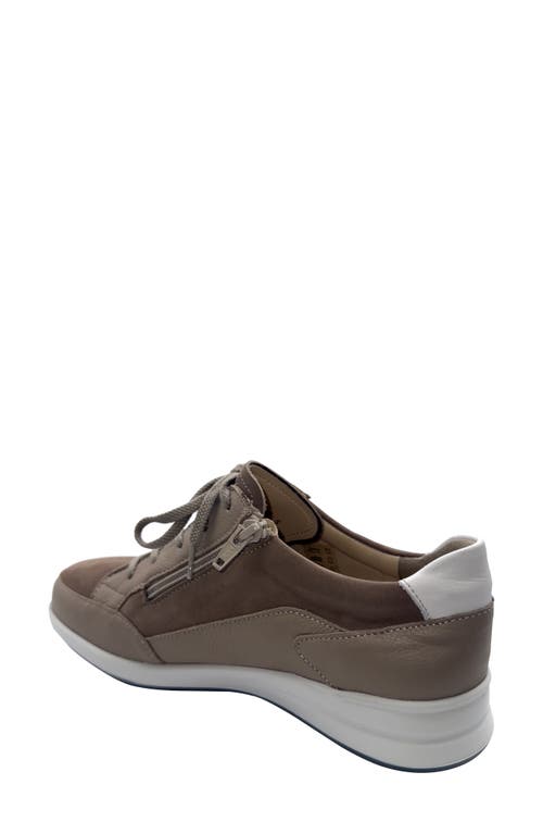 Finn Comfort Prato Sneaker In Sesame/white