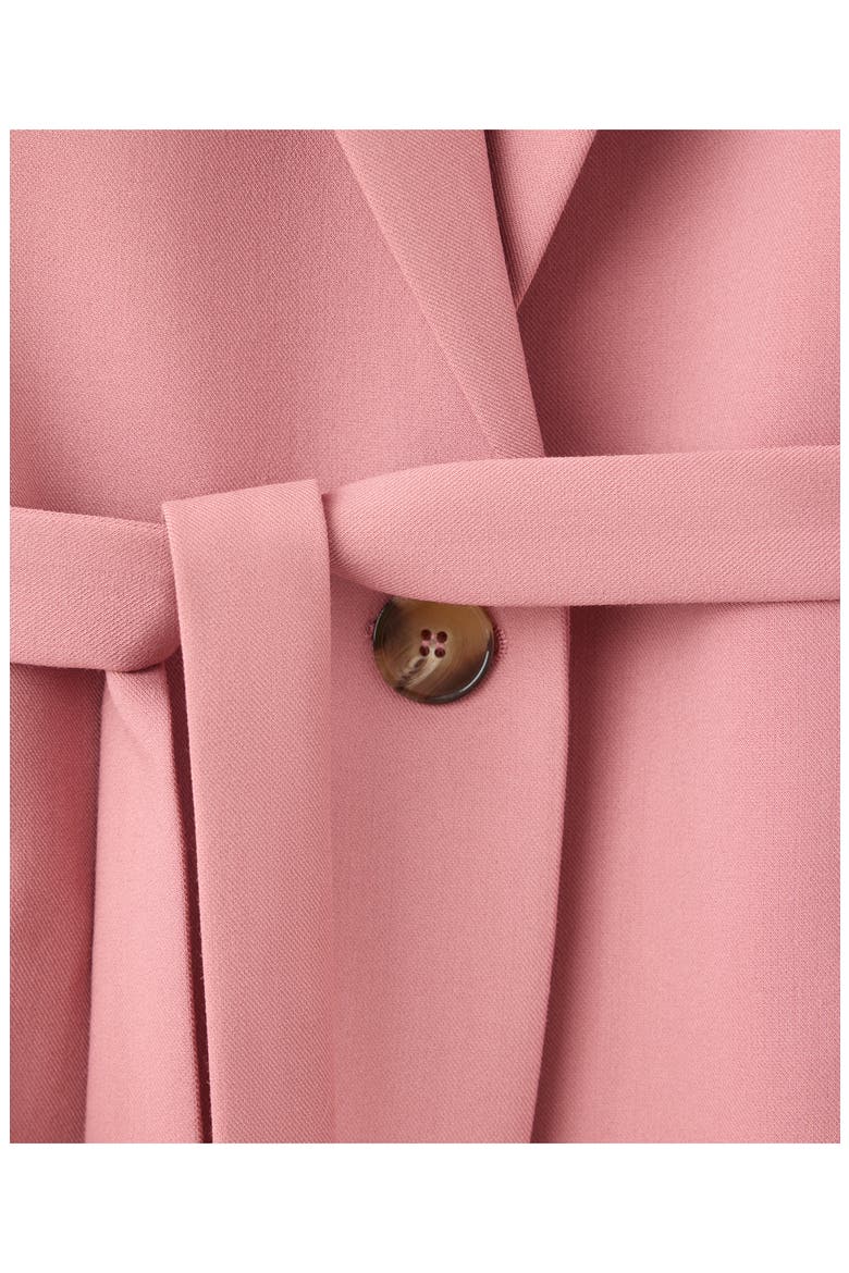 Sash Detail Blazer, Alternate, color, PINK