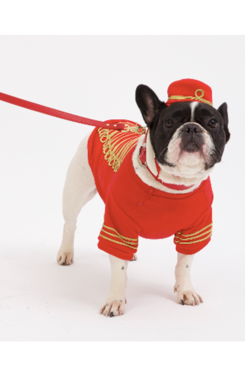 Moshiqa Empire Dog Sweatshirt, Alternate, color, Red