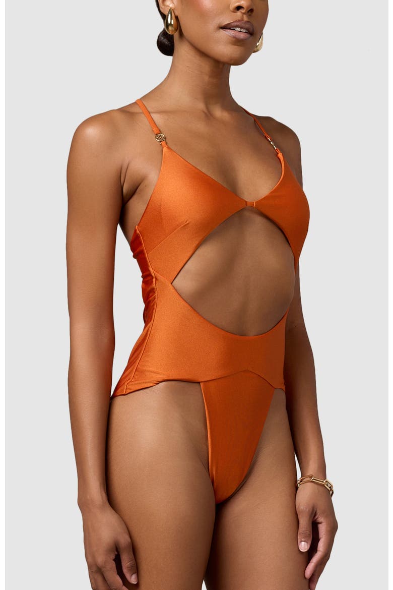 Azure One-Piece Swimsuit, Alternate, color, Burnt Orange