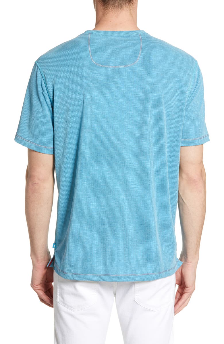 Tommy Bahama Tropicool Paradise V-Neck T-Shirt, Alternate, color, 