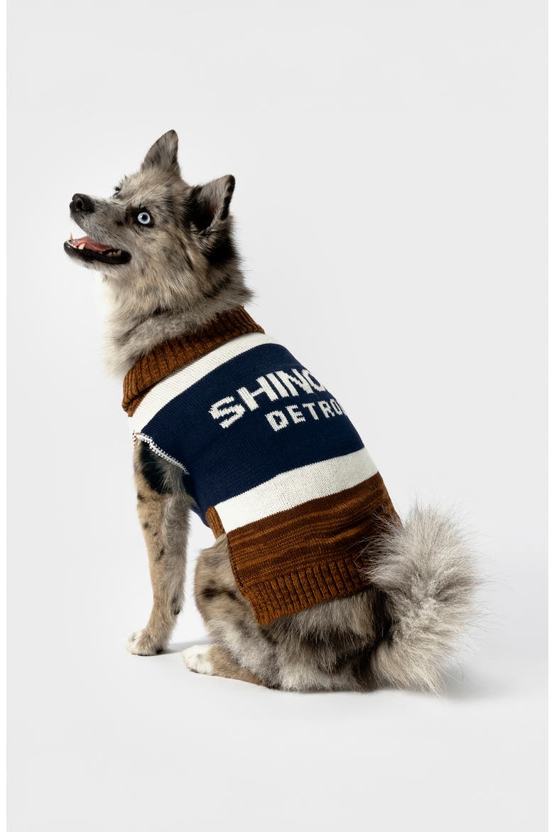 Logo Jacquard Dog Sweater, Alternate, color, BROWN