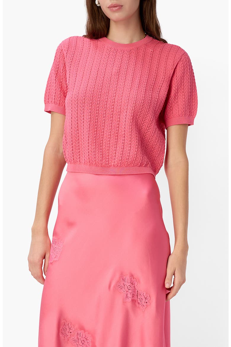 Ellory Crop Cotton Pointelle Top, Main, color, HIBISCUS