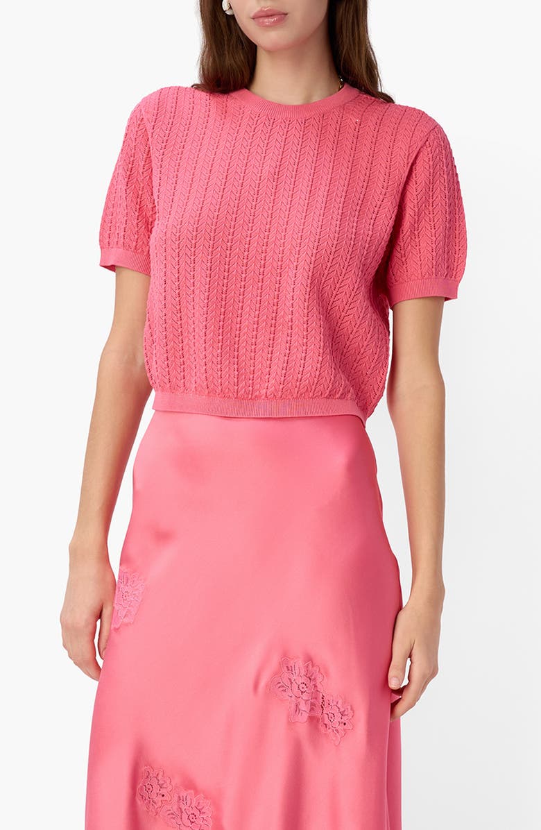 CAMI NYC Ellory Crop Cotton Pointelle Top, Main, color, Hibiscus