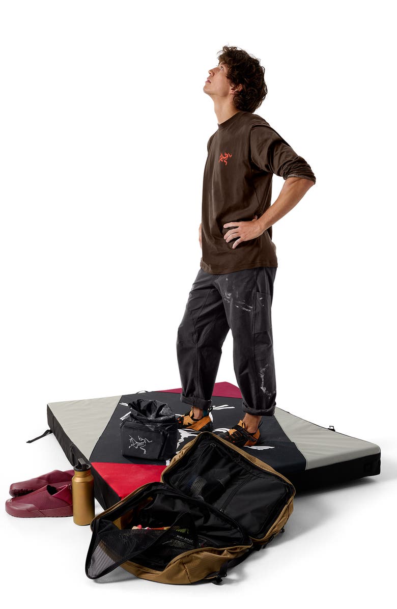 Arc'teryx Kragg Long Sleeve Cotton Graphic T-Shirt, Alternate, color, Carob / Dynasty