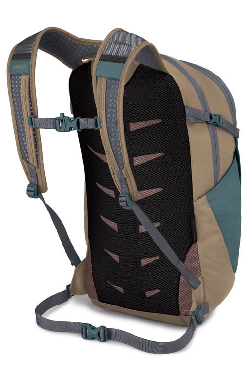 Osprey Daylite Plus Backpack In Cascade Blue/latte Brown