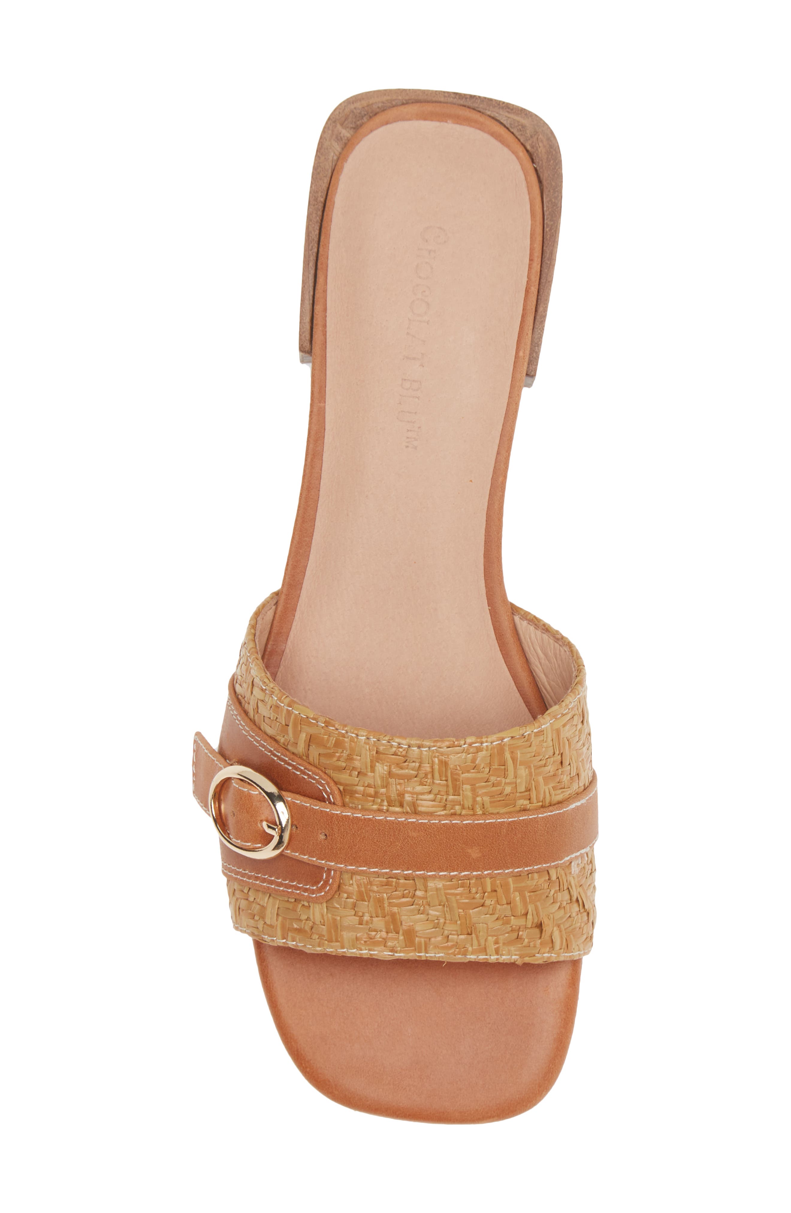 Chocolat Blu Briella Slide Sandal, Alternate, color, 