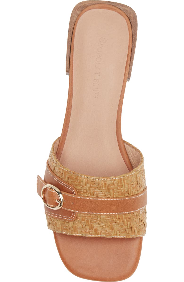 Chocolat Blu Briella Slide Sandal, Alternate, color,