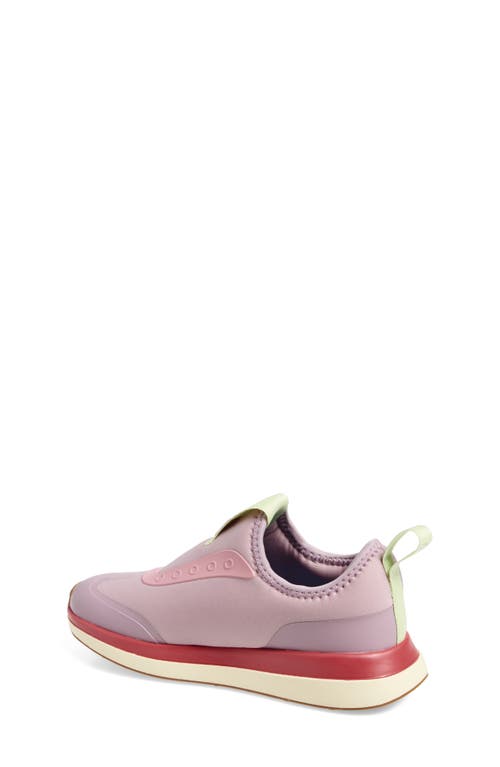 Native Shoes Robbie Dash Slip-on Sneaker In Multi