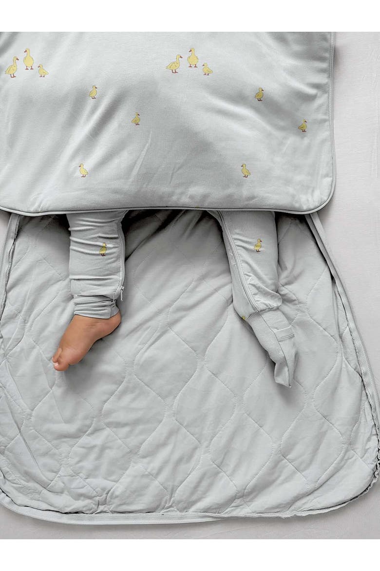 Long Sleeve Sleep Sack Duvet 1.0 TOG - Baby, Alternate, color, Friends