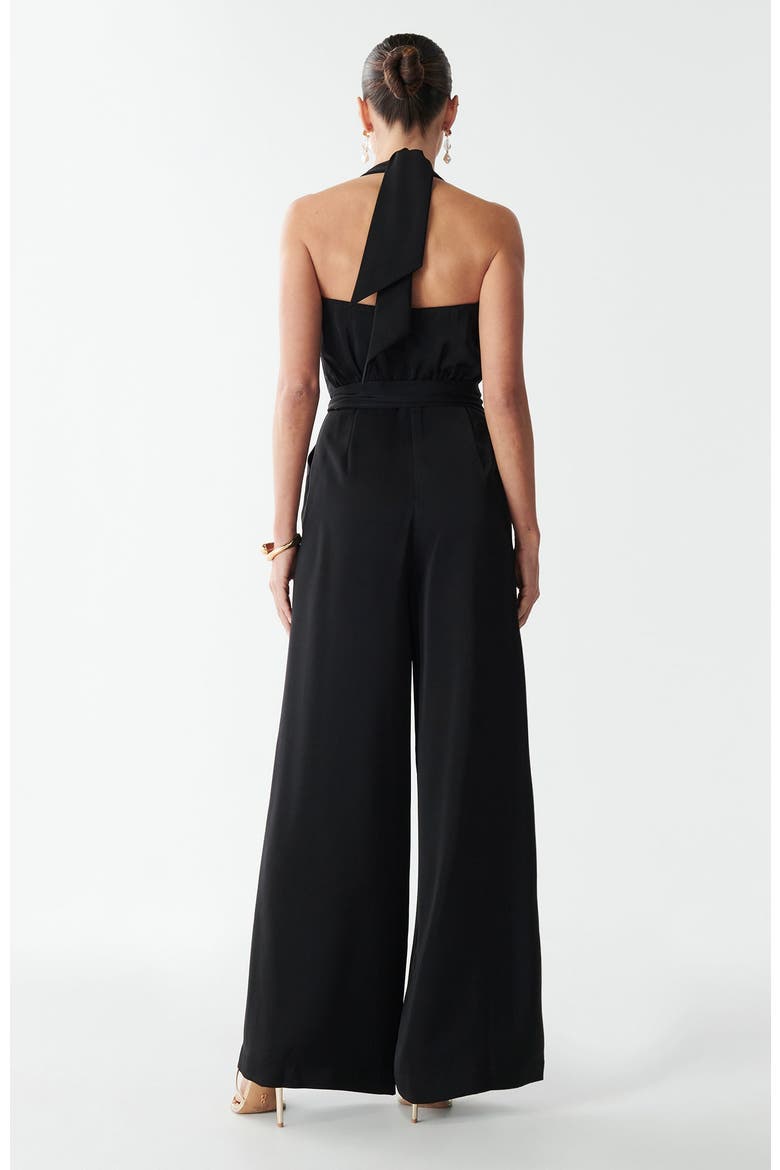 Hayley Jumpsuit, Alternate, color, Black