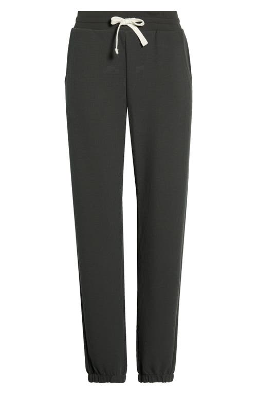 Free Fly Waffle Knit Joggers In Black
