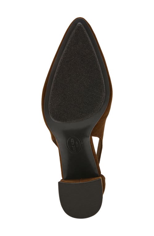Anne Klein Women's Berkeley Block Heel Dress Pumps In Brown