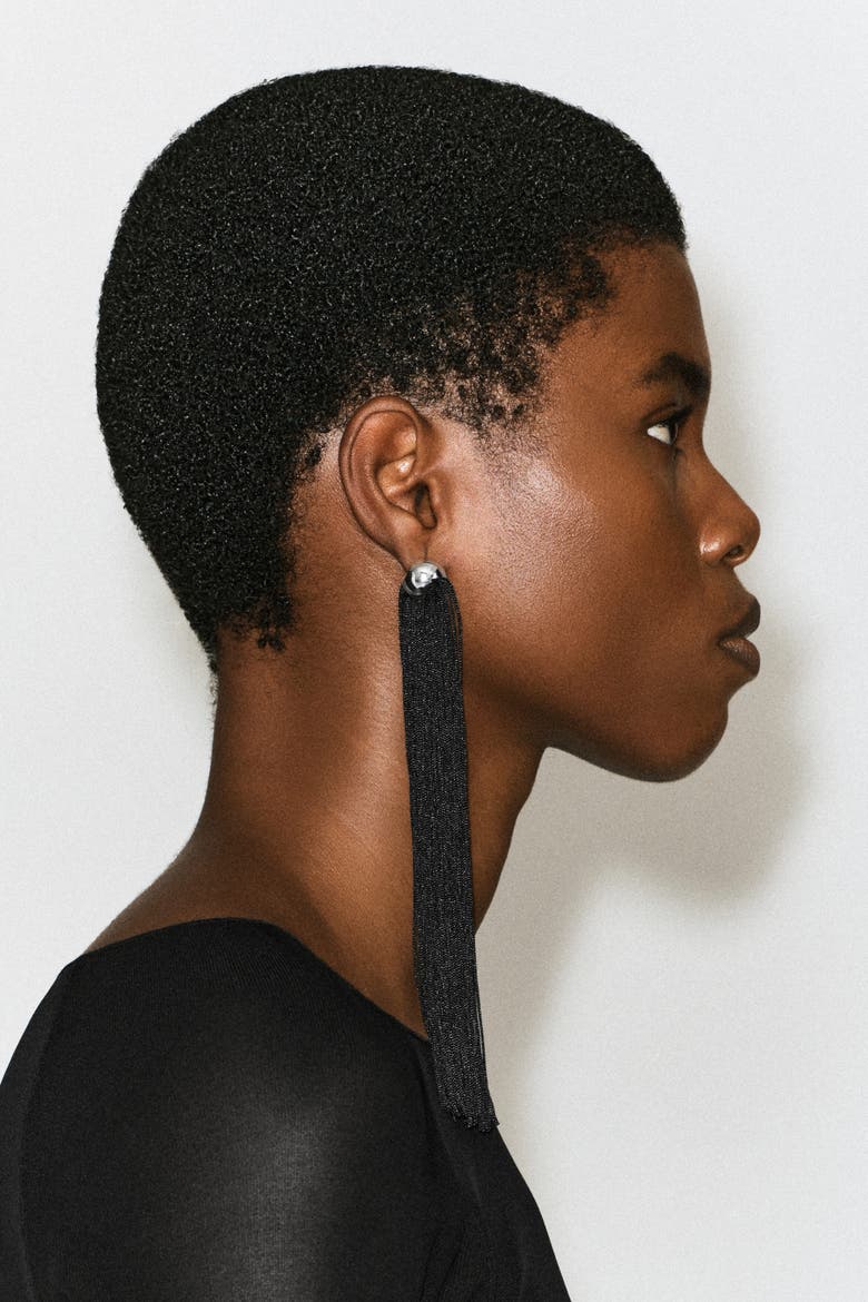 Fringed Earrings, Alternate, color, BLACK / SILVER