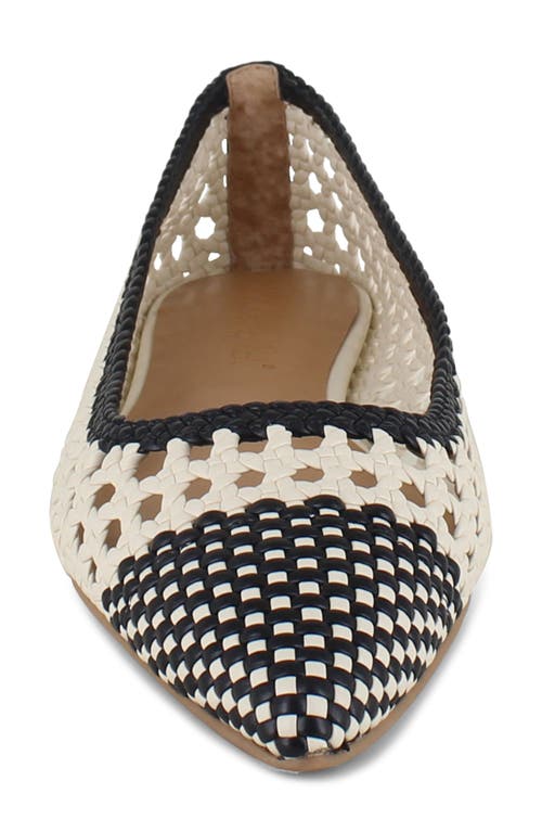 Splendid Nelly Pointed Toe Flat In Black/oat