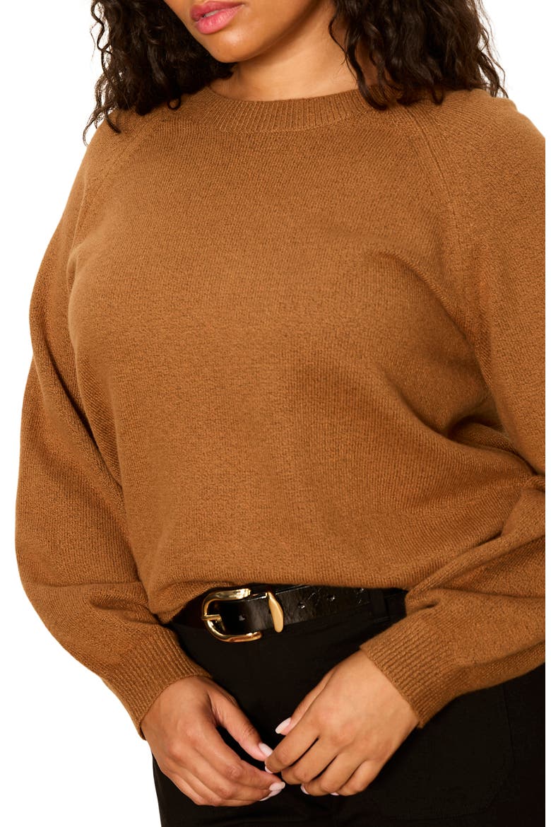 Soft Popover Sweater, Alternate, color, COCOA POWDER BROWN