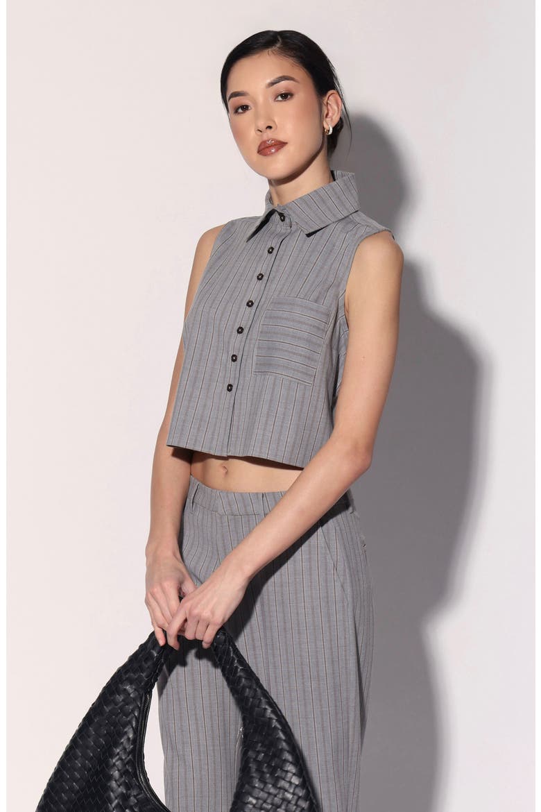 Tatiana Stripe Crop Sleeveless Shirt, Alternate, color, GREY BROWN STRIPE