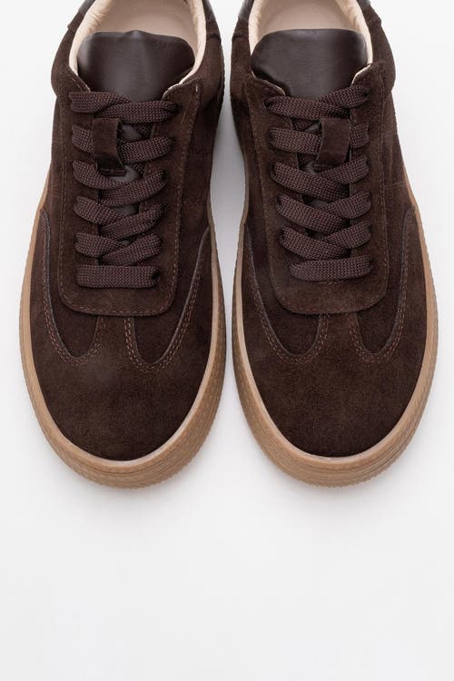 Forever & Always Shoes Fyore Leather Sneakers In Brown Suede Leather