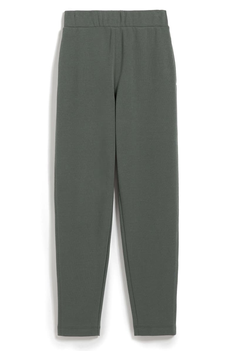 Max Mara Leisure Pesca Cotton Blend Jersey Pull-On Pants, Alternate, color, 