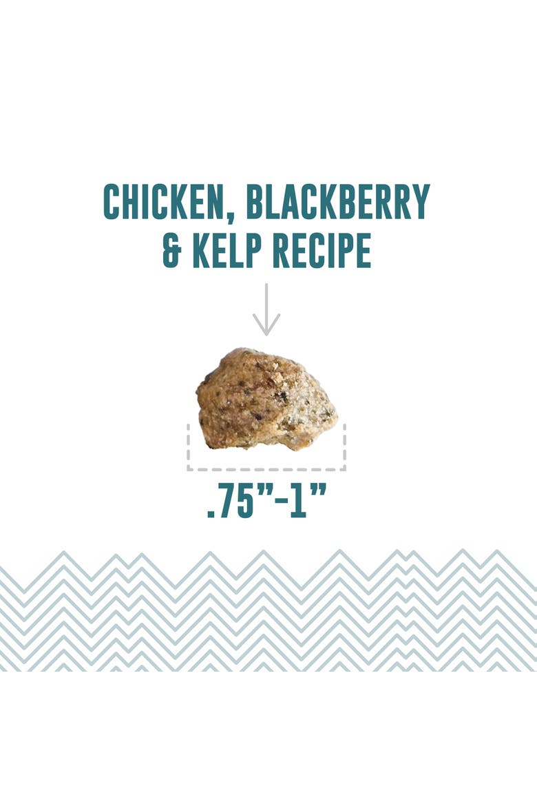 Soft & Chewy Bites, Chicken, Blackberry & Kelp, 2.8oz Dog Treats, Alternate, color, Multicolored
