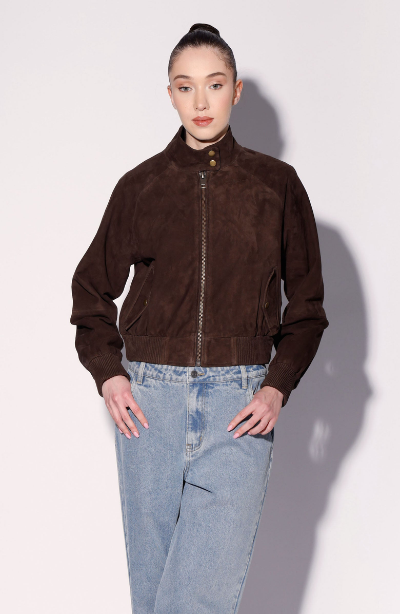 Walter Baker Bowie Suede Bomber Jacket, Main, color, Mocha Suede