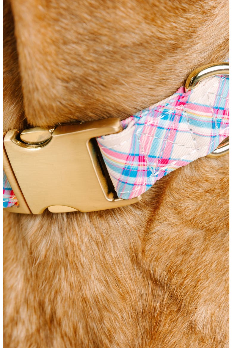 Whitley Dog Collar, Alternate, color, Whitley