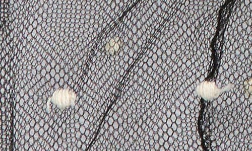 Valentino Garavani Polka Dot Tulle Gloves