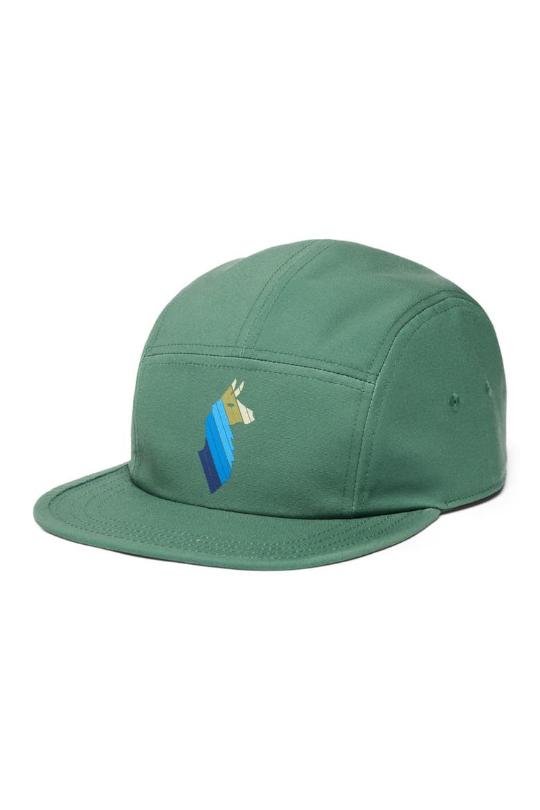 Llama Stripes 5-Panel Hat, Main, color, Vine