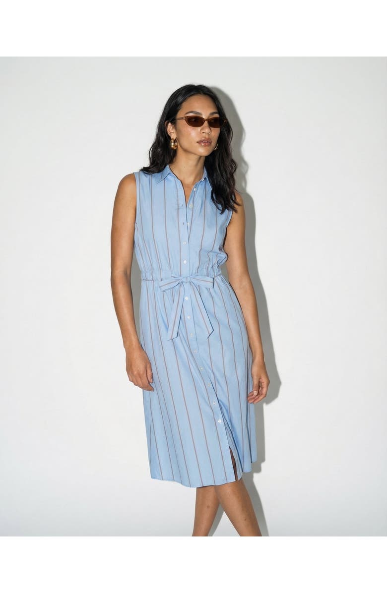 The Shirt by Rochelle Behrens The Sleeveless Midi Dress, Alternate, color, Light Blue/Taupe