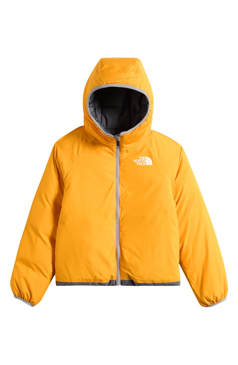 The North Face Kids' Reversible North Down 600-Fill-Power Hooded Puffer Jacket, Alternate, color, 
