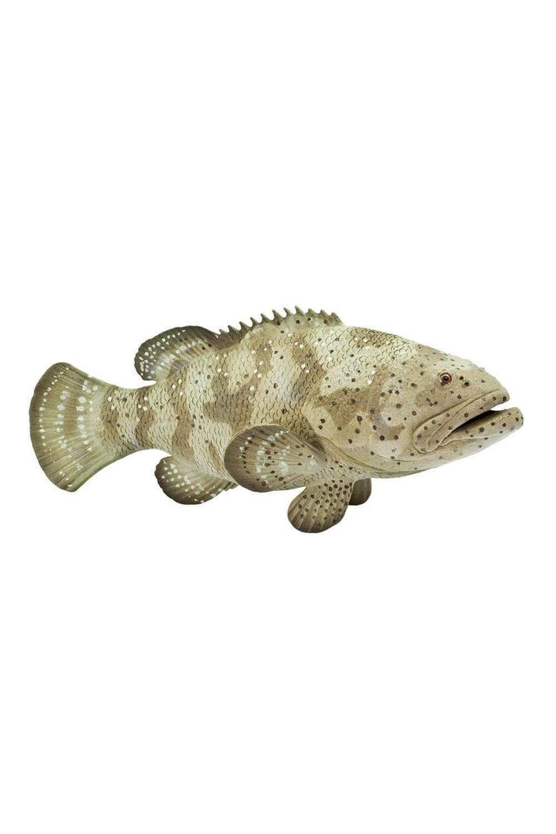 Goliath Grouper Toy, Main, color, No Color