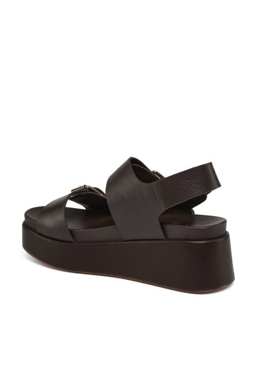Jslides Footwear Brooke Platform Sandal In Dark Brown
